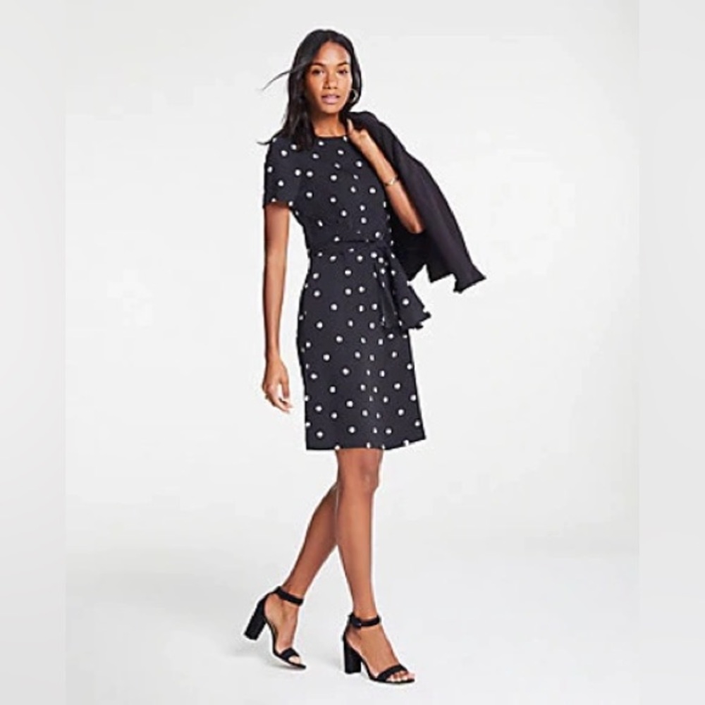 Ann Taylor Black White Polka Dot Tie Front T-Shirt Shift Short Sleeve Dress 10 - Picture 8 of 8